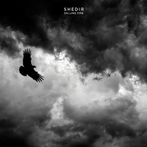Shedir - Falling Time