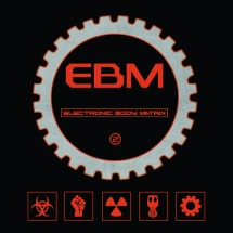 Electronic Body Matrix 2