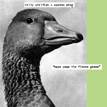 Billy Childish & Sexton Ming - Here Come The Fleece Geese