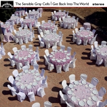 Sensible Gray Cells - Get Back Into The World