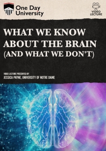 One Day University: What We Know About the Brain (and What We Don
