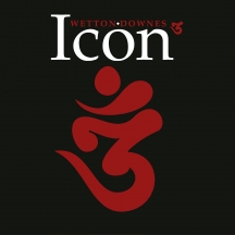 Icon - 3