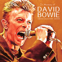 David Bowie - In Memory Of