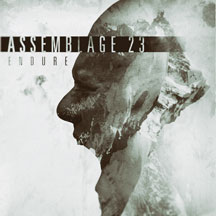 Assemblage 23 - Endure Limited Edition LP