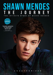 Shawn Mendes - The Journey