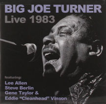 Big Joe Turner - Big Joe Turner Live 1983