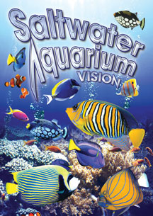 Saltwater Aquarium Vision