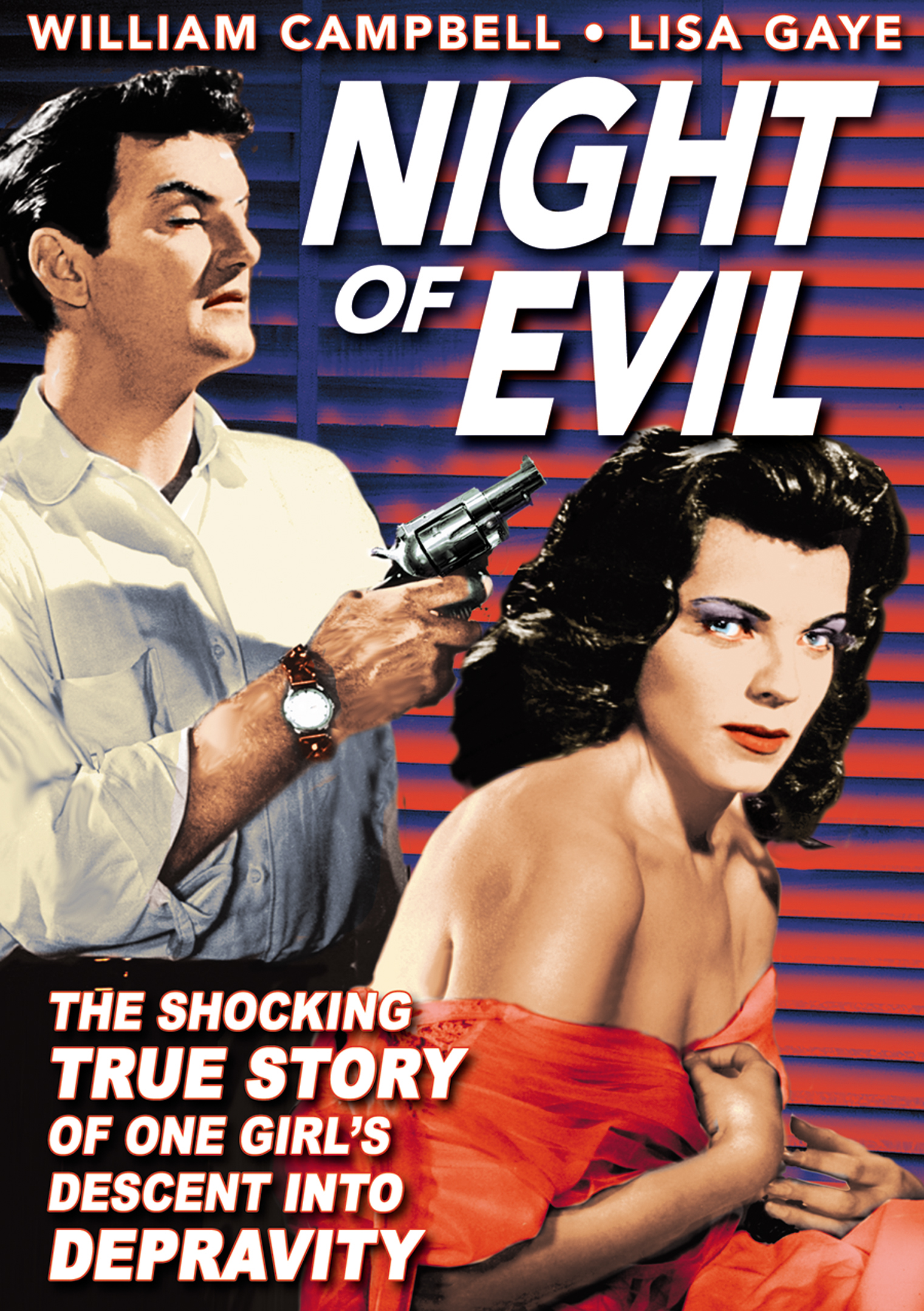 Night Of Evil - MVD Entertainment Group B2B 
