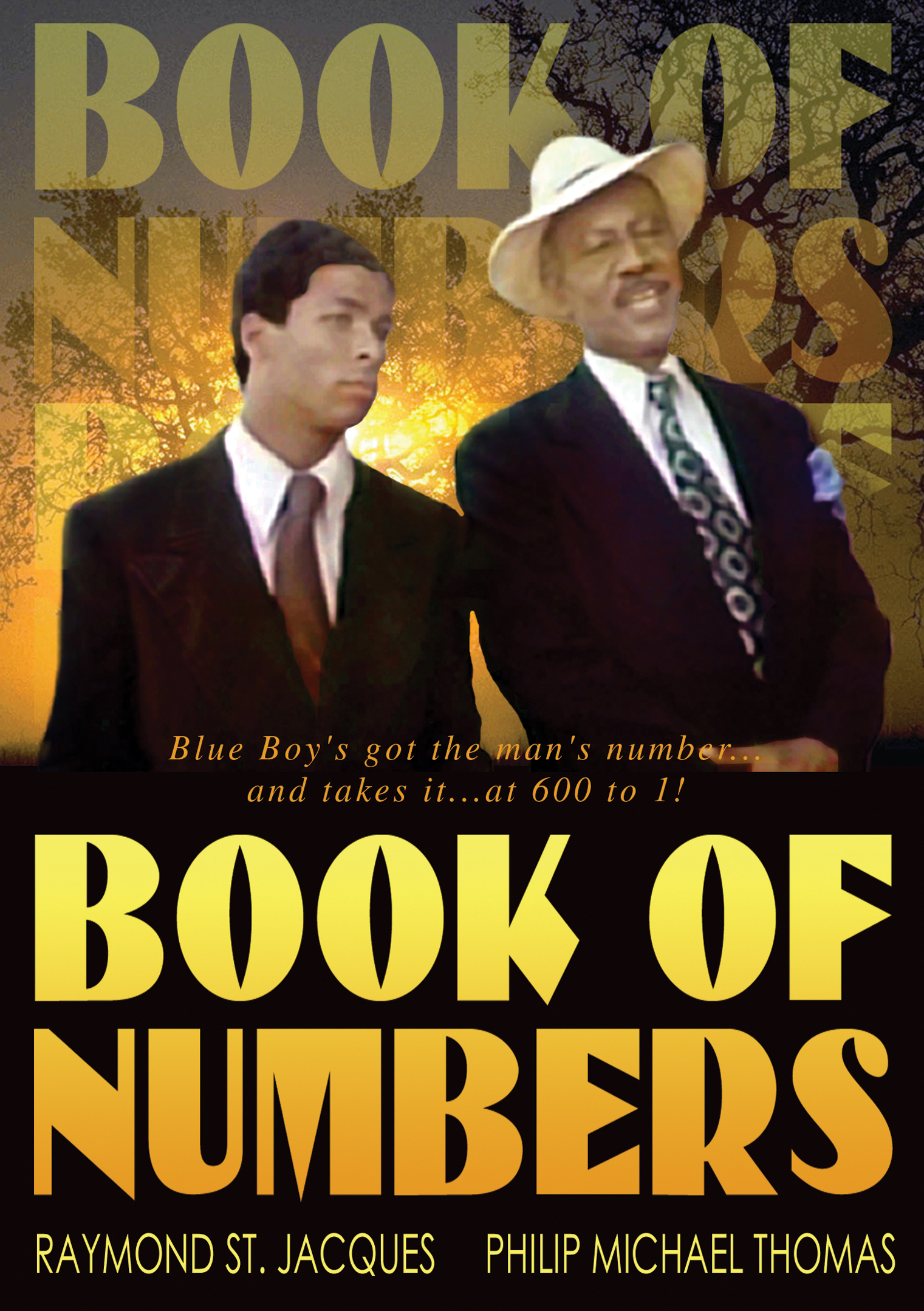 Book of numbers