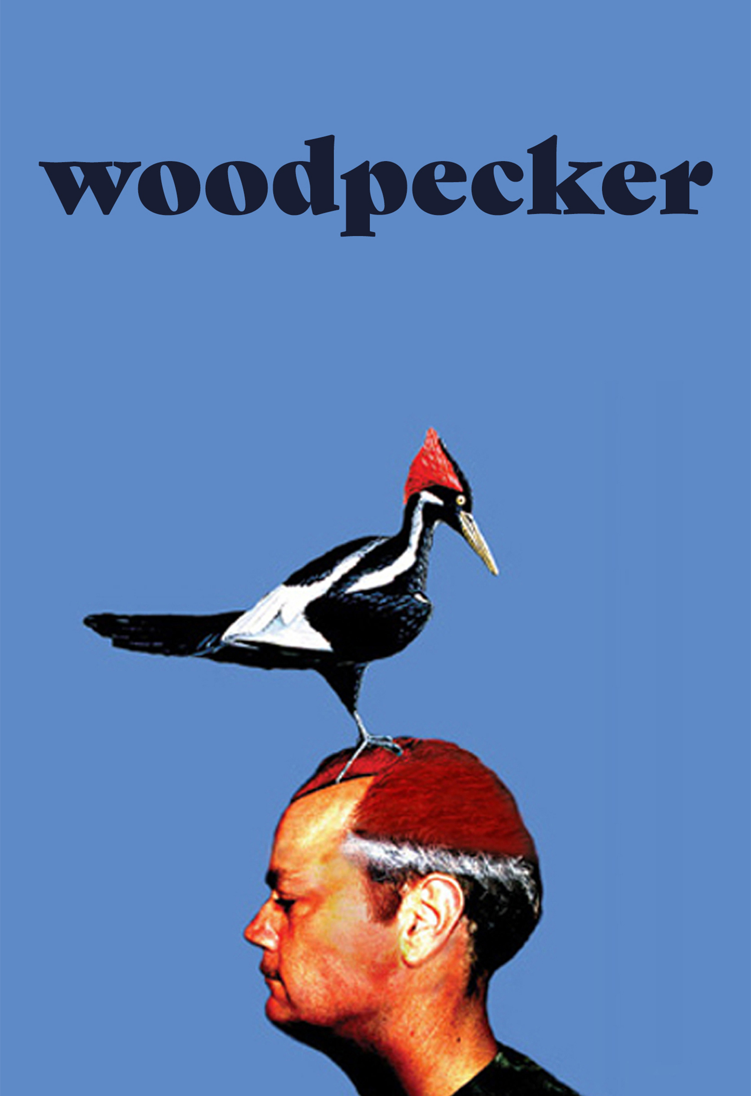 Woodpecker