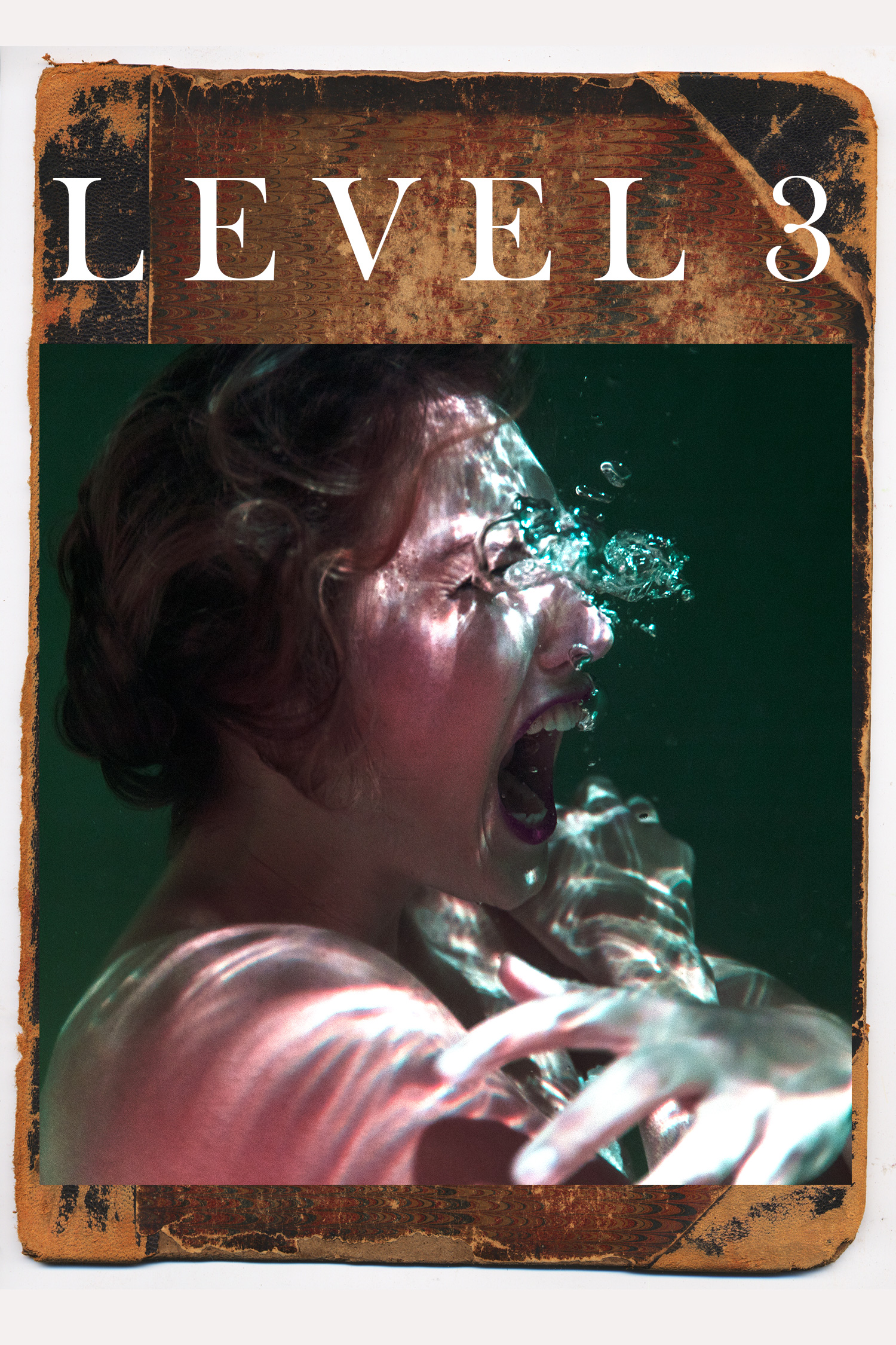 Level 3