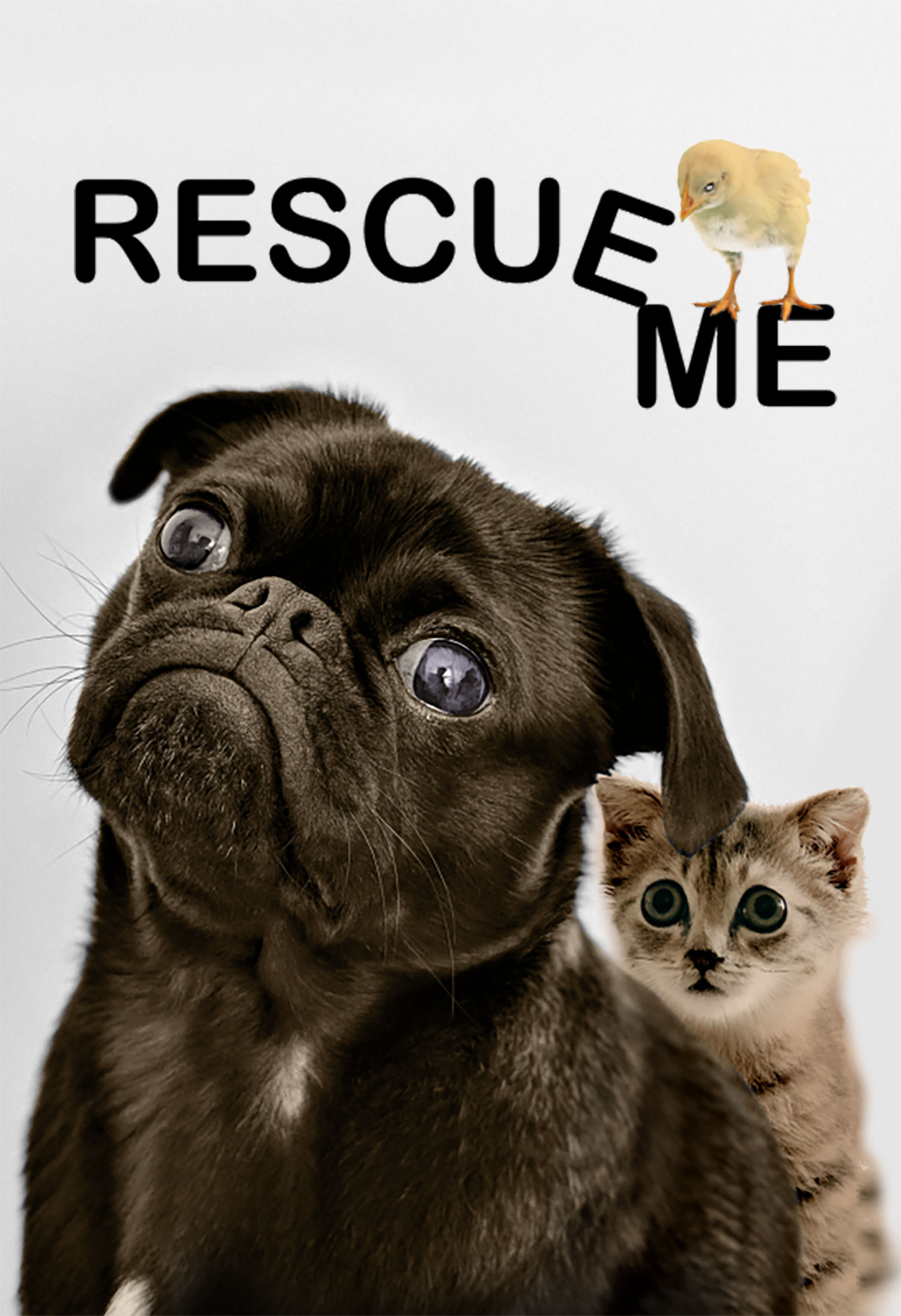 Rescue Me