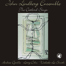 John Lindeberg - The Catbird Sings