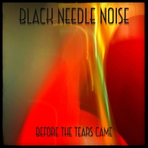 Black Needle Noise - Before The Tears Came