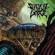 Septycal Gorge - Growing Seed Of Decay