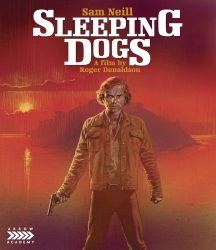 Sleeping Dogs