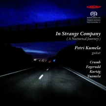 Petri Kumela - In Strange Company (a Nocturnal Journey)