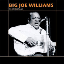 Big Joe Williams - Live Chicago 
