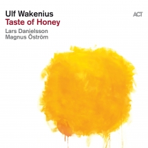 Ulf Wakenius - Taste Of Honey