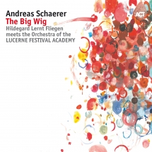 Andreas Schaerer - The Big Wig