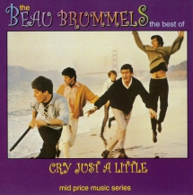 The Beau Brummels - Cry Just A Little: The Best Of