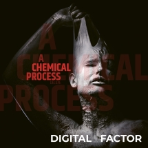 Digital Factor - A Chemical Process (Limited Edition)