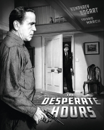 The Desperate Hours [Limited Edition]