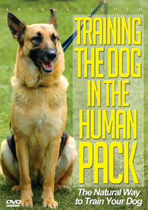 Training The Dog In The Humanpack