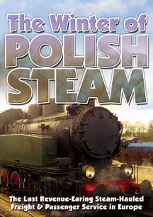 The Winter Of Polish Steam