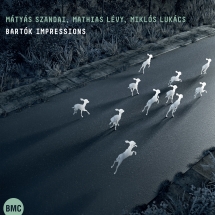 Matyas Szandai & Mathias Levy & Miklos Lukacs - Bartok Impressions