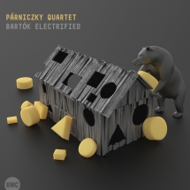 Parniczky Quartet - Bartok Electrified