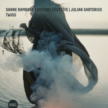 Sanne Rambags & Vincent Courtois & Julian Sartorius - Twigs