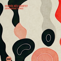 András Dés Quartet - Unimportant Things