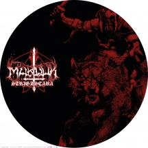 Marduk - Strigzscara Warwolf Live 1993 (picture Disc)