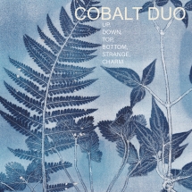 Kate Halsall & Fumiko Miyachi - Cobalt Duo: Up, Down, Top, Bottom, Strange, Charm