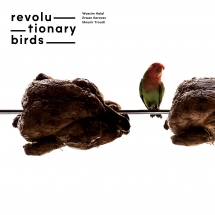 Revolutionary Birds - Revolutionary Birds