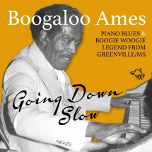 Ames Boogaloo - Going Down Slow