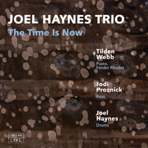 Joel Haynes Trio - The Time Is Now