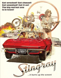 Stingray: Director