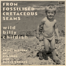Billy Childish - From Fossilised Cretaceous Seams: A Short History Of His Song And Dance Groups