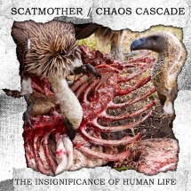 Scatmother & Chaos Cascade - The Insignificance Of Human Life