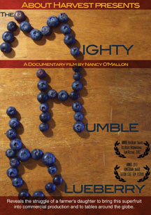 The Mighty Humble Blueberry