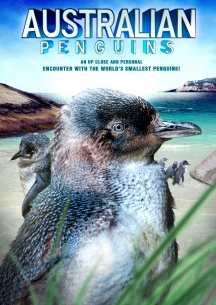 Australian Penguins