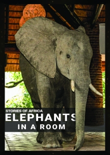 Stories Of Africa: Elephants In The Room
