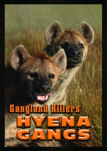 Gangland Killers: Hyena Gangs