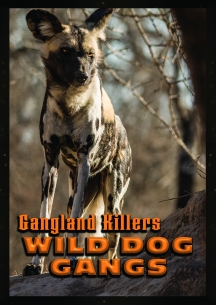 Gangland Killers: Wild Dog Gangs