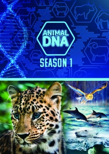 Animal DNA: Season One