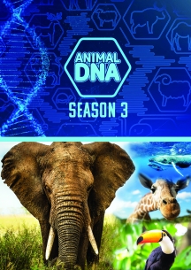Animal DNA: Season Three