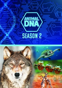 Animal DNA: Season Two