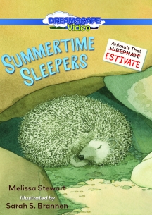 Summertime Sleepers